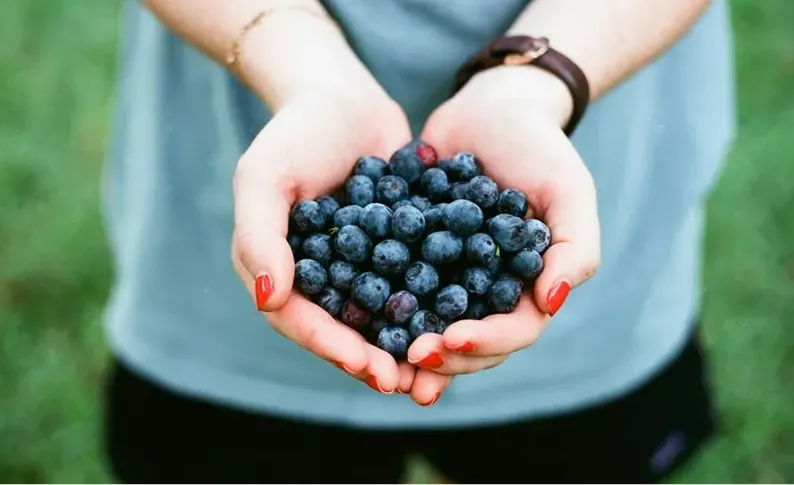 How Your Diet Affects Mental Health and Mood