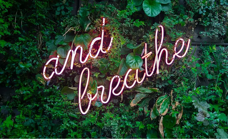 5 Minute Deep Breathing Exercises to Calm Your Nervous System