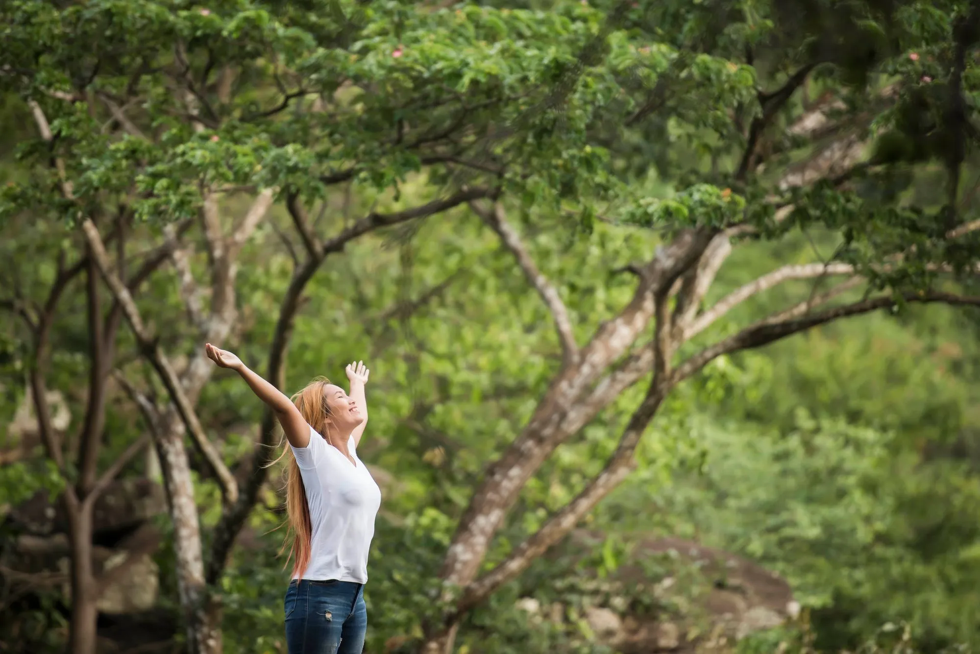 Improve Your Well-being: Bring More Nature into Your Routine
