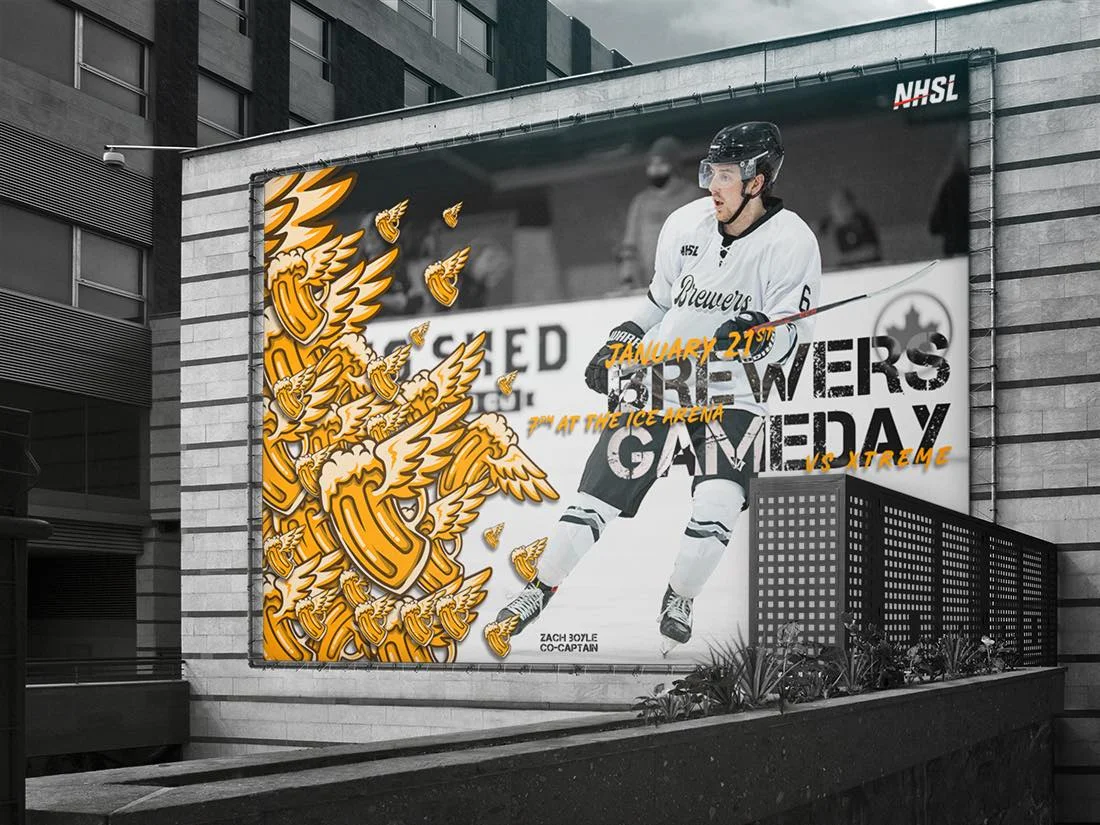 National Hockey Super League — case study