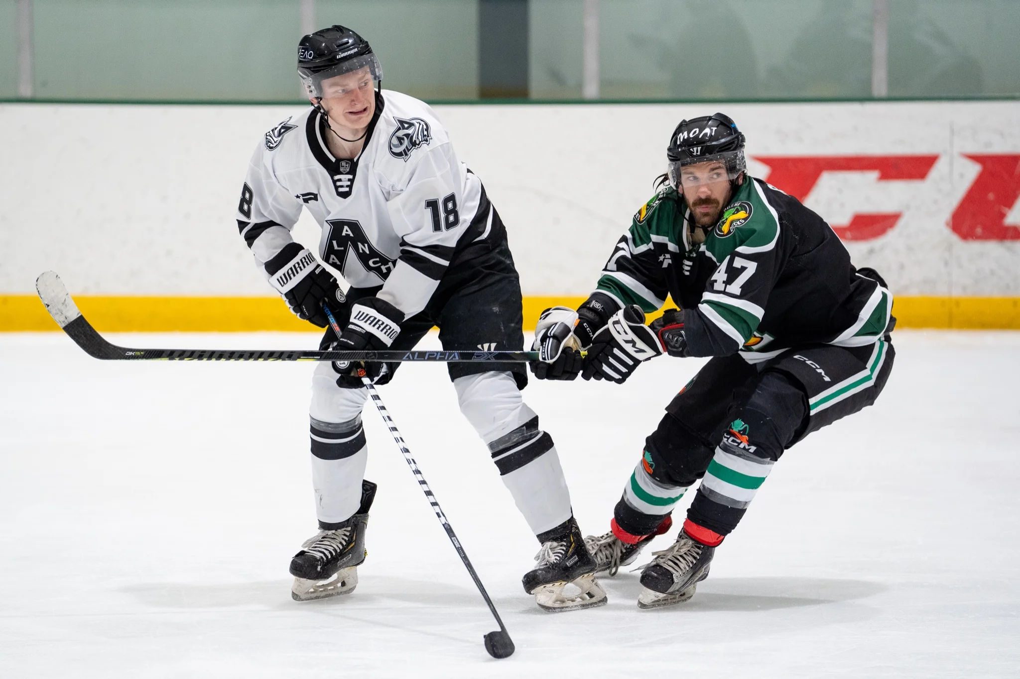 Two Pacific Hockey League players competing for the puck during a fast-paced ice hockey game, reflecting the league’s player-first national competition.