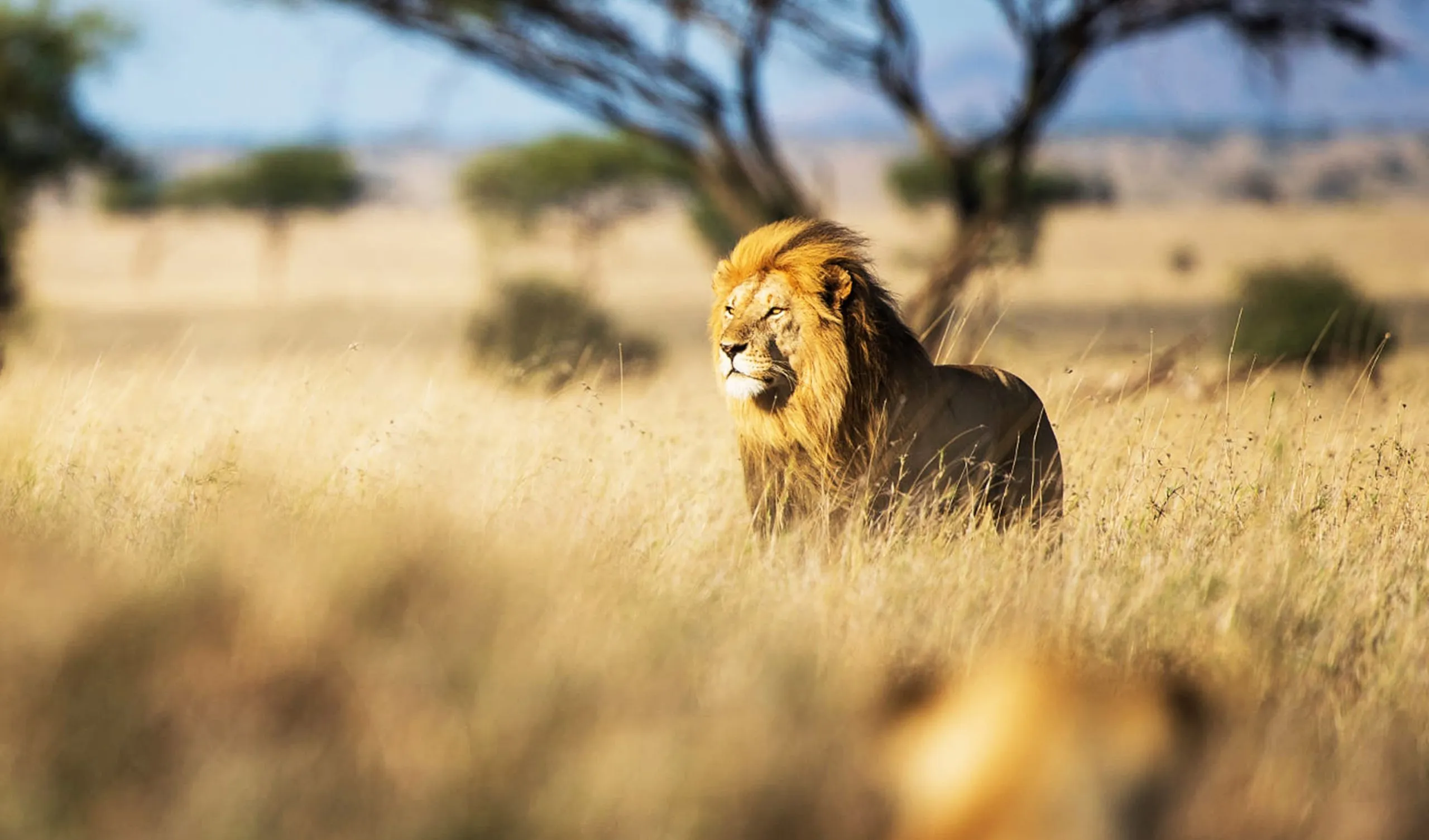 Wildlife sanctuary landscape