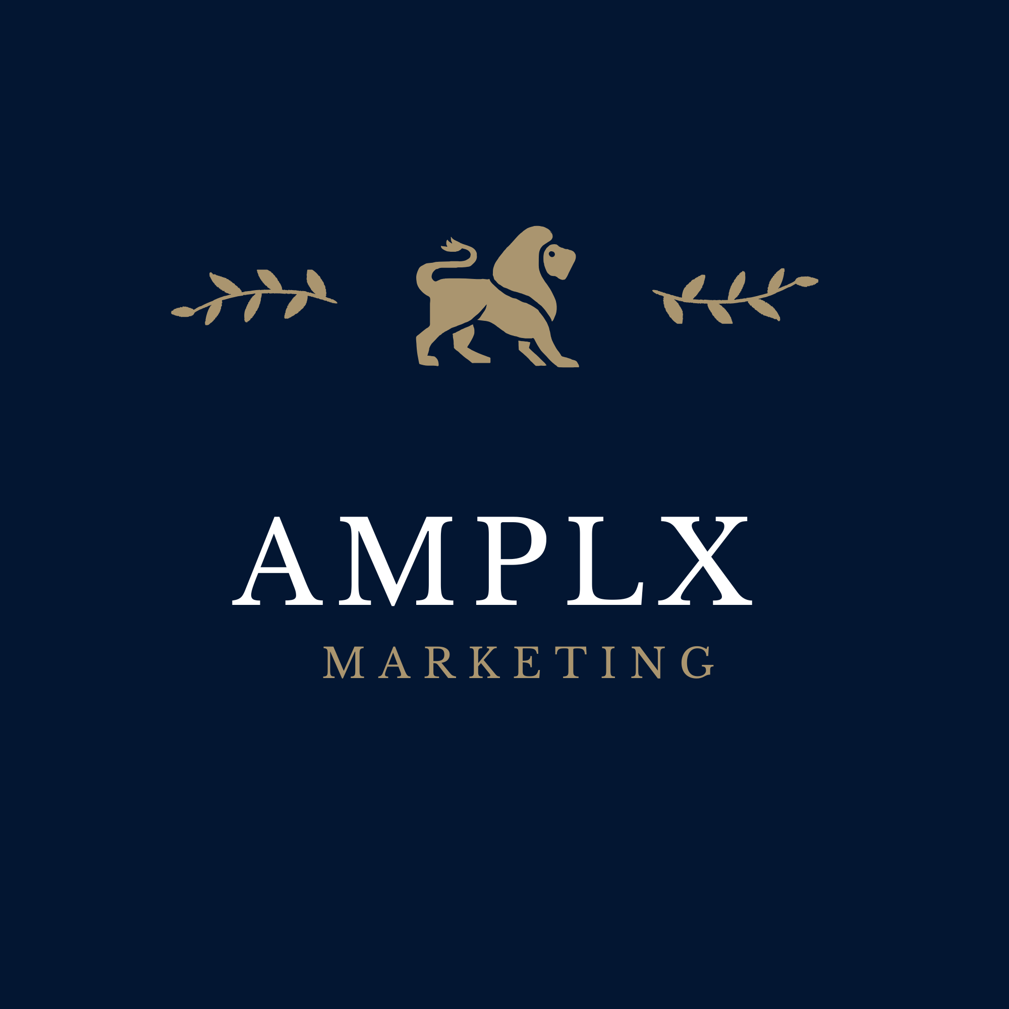 AMPLX wordmark text in stylized black and gray uppercase letters on white background.