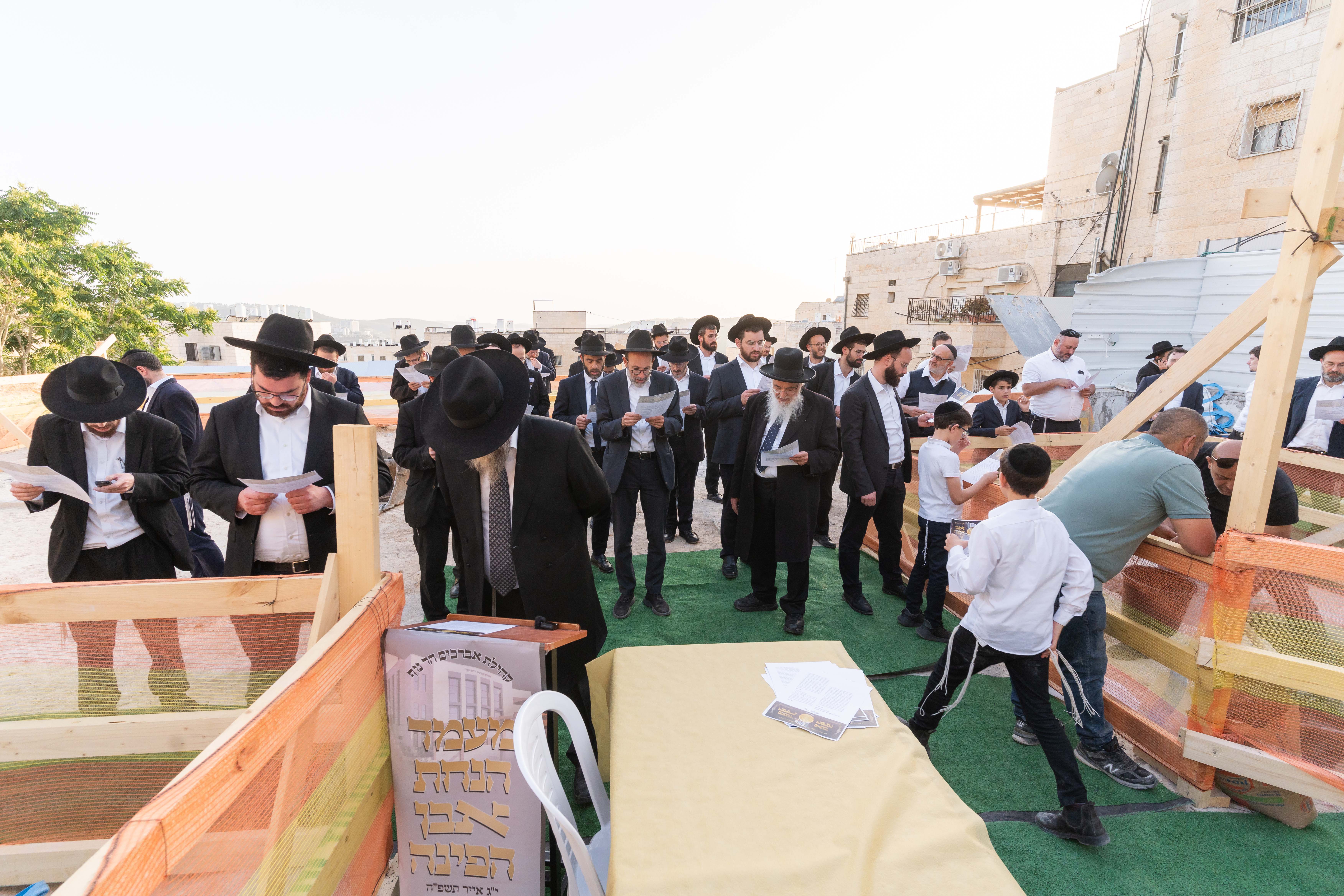 Group of Jewish men and boys in black hats and suits gathered outdoors reading prayer sheets.