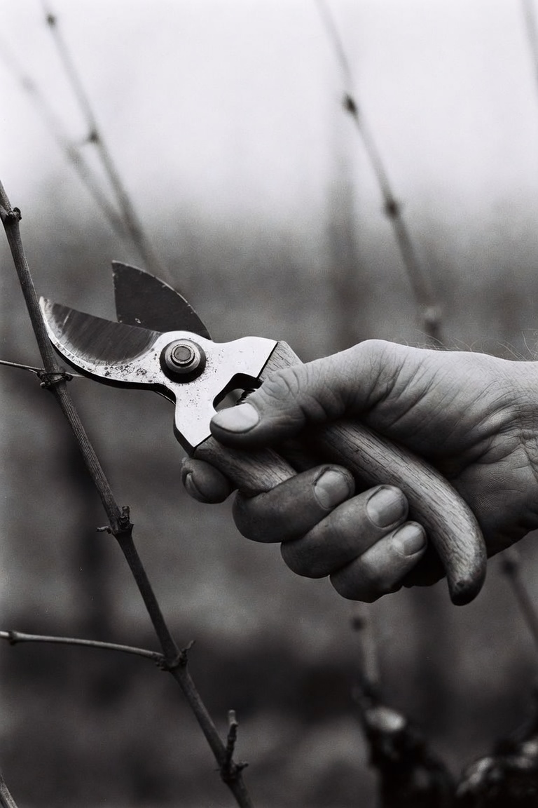 A hand holding a pruning shear mid-cut, the wooden handle worn smooth