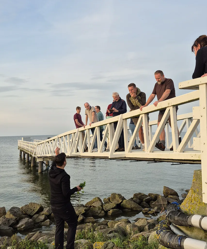 Group of people on a white wooden pier looking down at a person standing on rocks by the water.