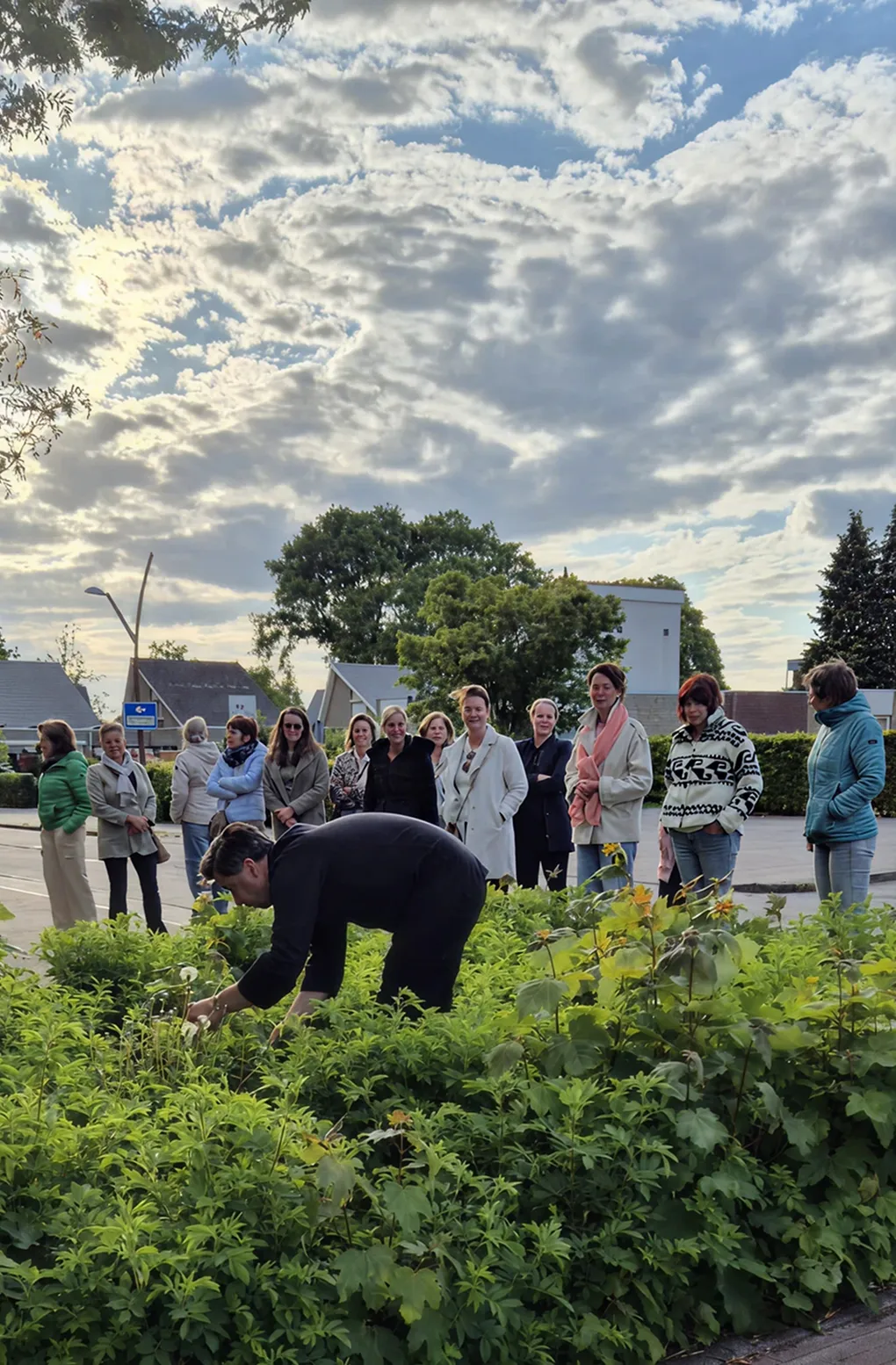 Person bending over plants in a garden with a group of people watching in an outdoor urban area.