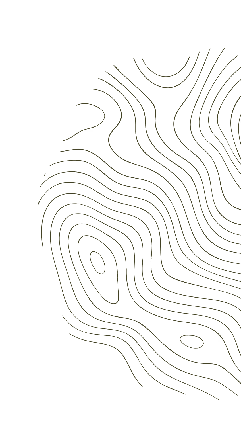 Abstract black curved contour lines forming organic shapes on a transparent background.