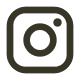 Instagram logo with rounded square and camera icon inside.
