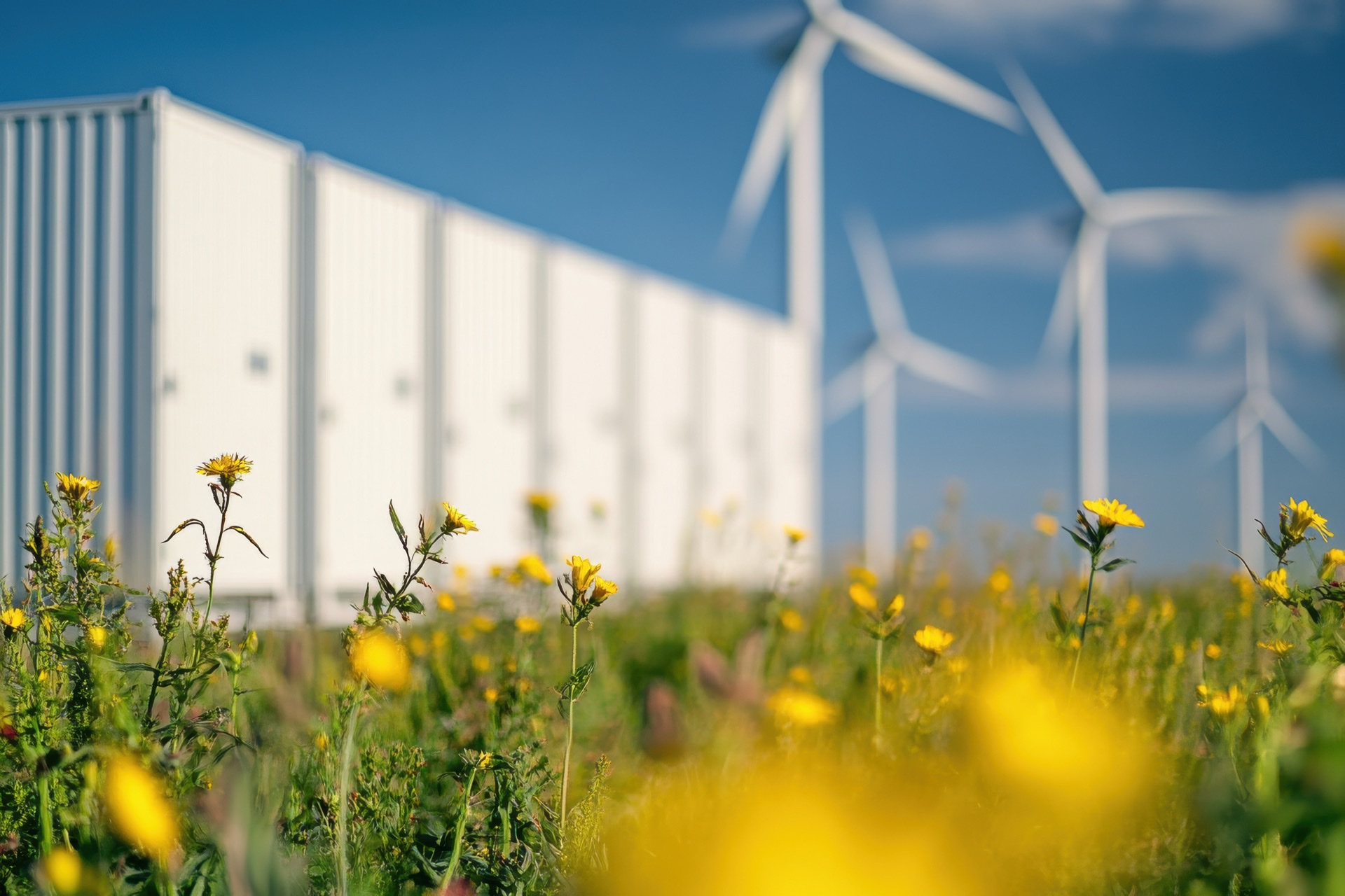 Hybrid Greentech connects LOOAD's EV charger portfolio to Energinet's balancing markets
