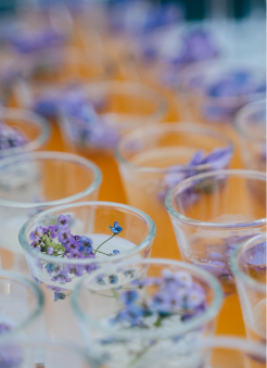 Small coctails in glasses