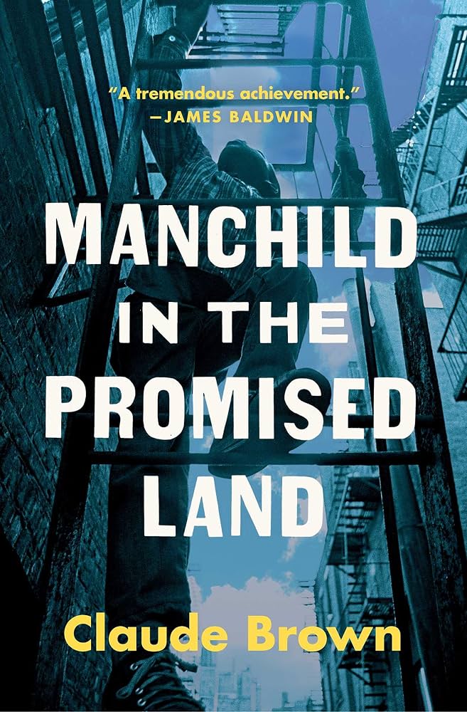 Manchild in the Promised Land cover