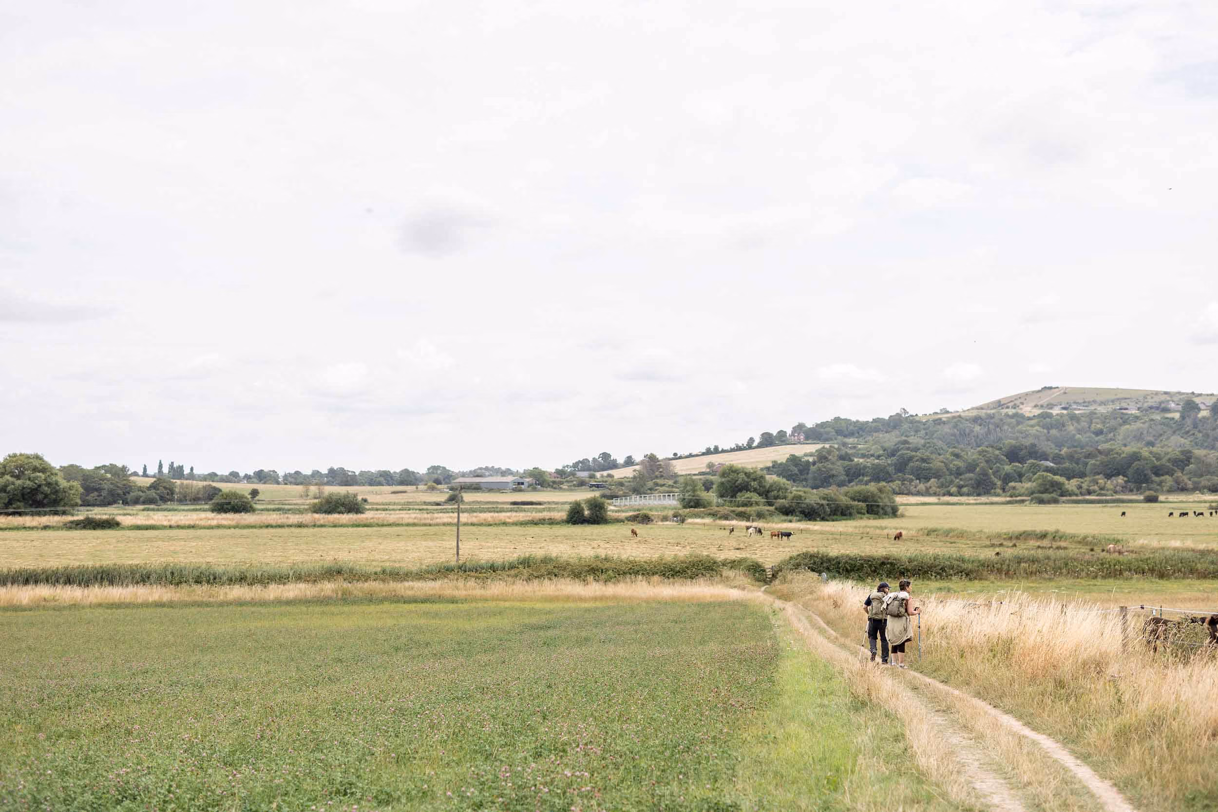A Slow Weekend in the South Downs