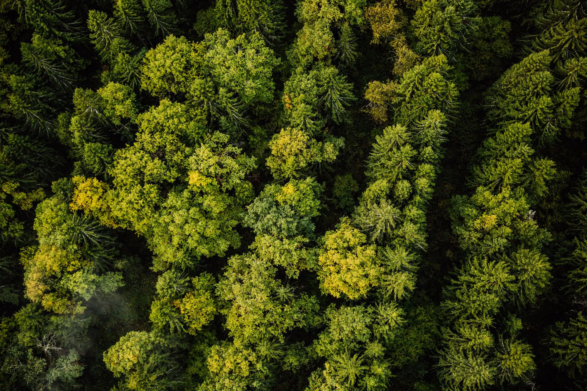 Vue aérienne d'un paysage naturel