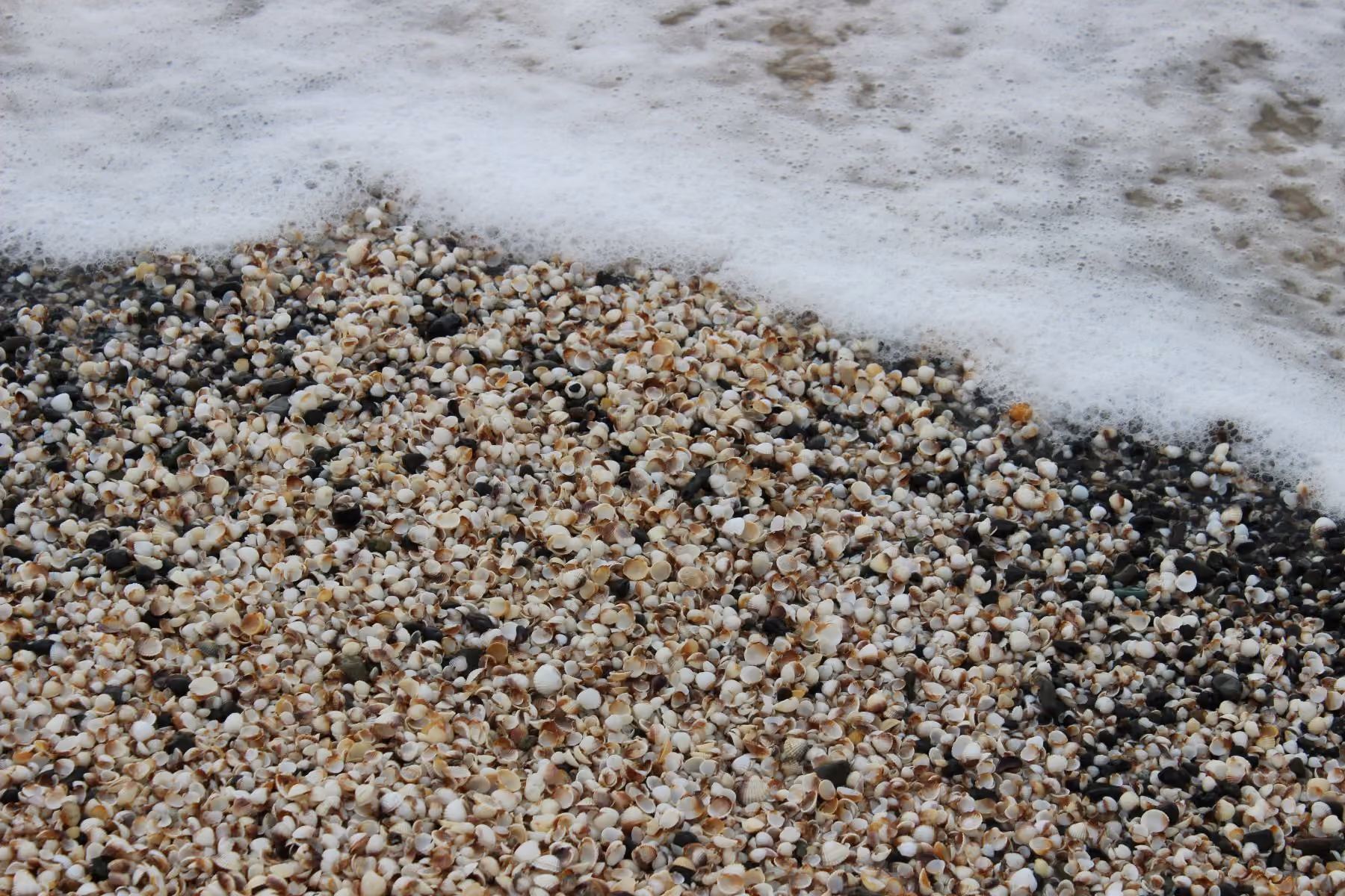 Beach with sand