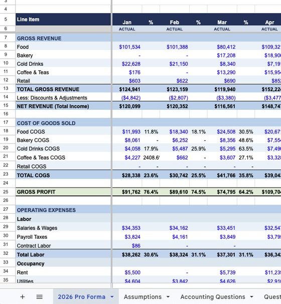 Pro forma chart of accounts with revenue and cost lines
