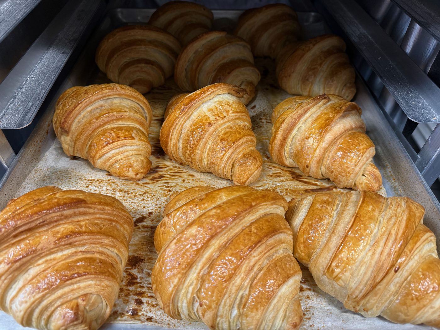 Tray of fresh croissants