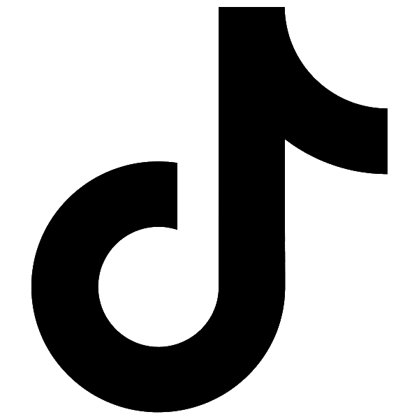 tiktok icon