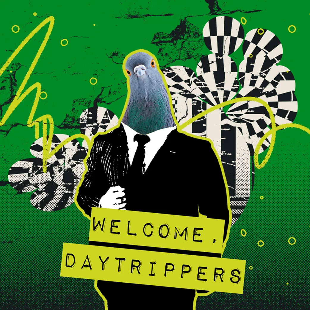 Pigeon in a suit welcoming Daytrippers to Absurd City.