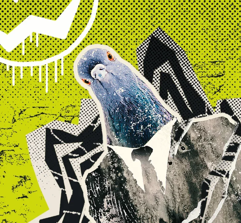 Pigeon in a suit graffiti street art for Annual Passes.