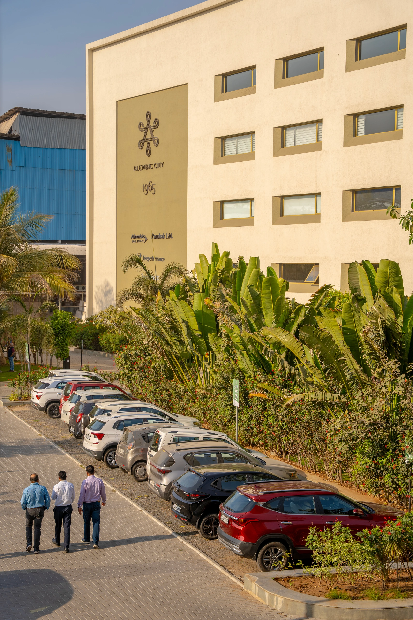 Alembic Real Estate corporate office