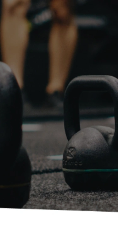 Header Image