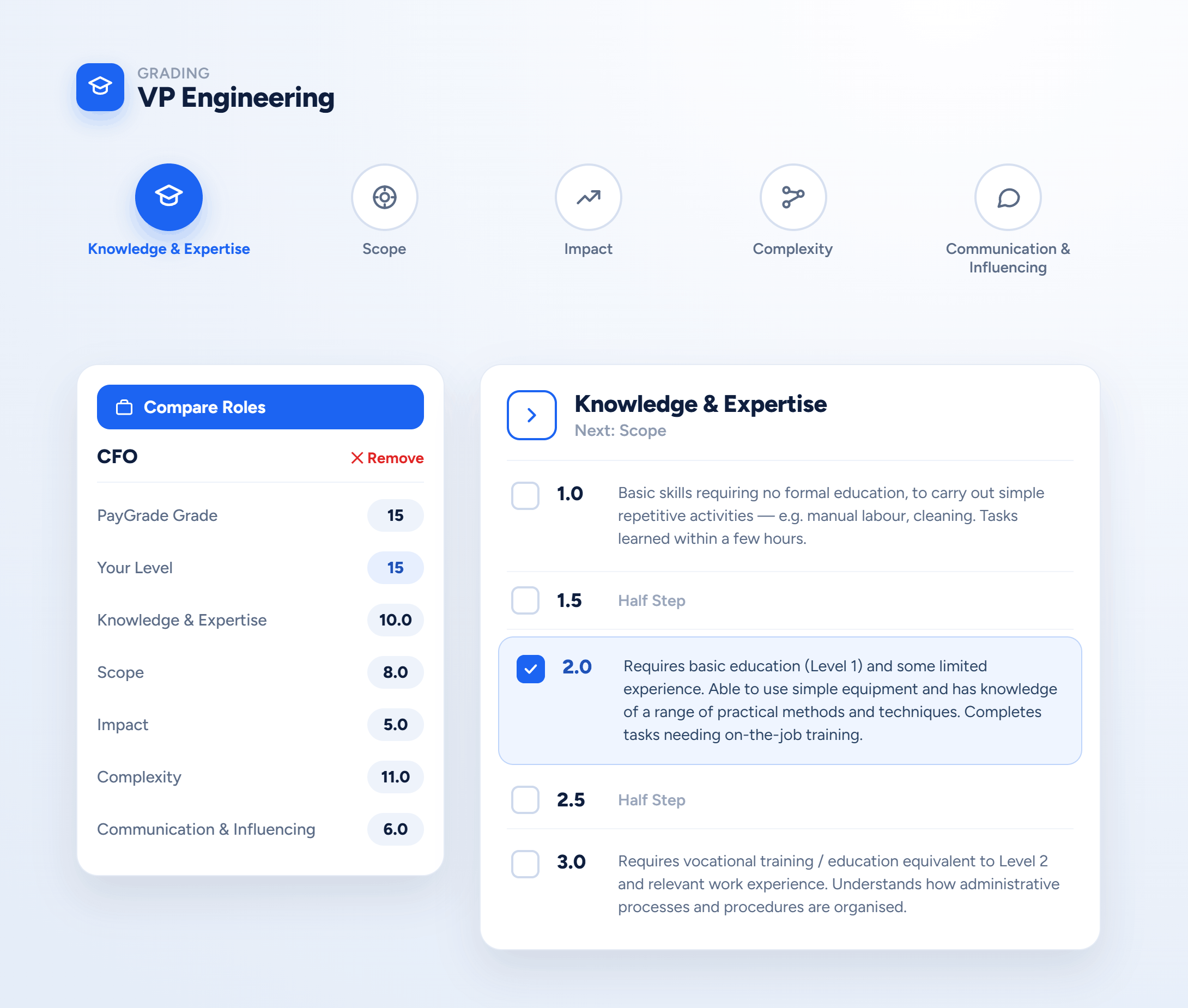 Grading interface for VP Engineering role showing knowledge levels for CFO with detailed criteria for Knowledge & Expertise.