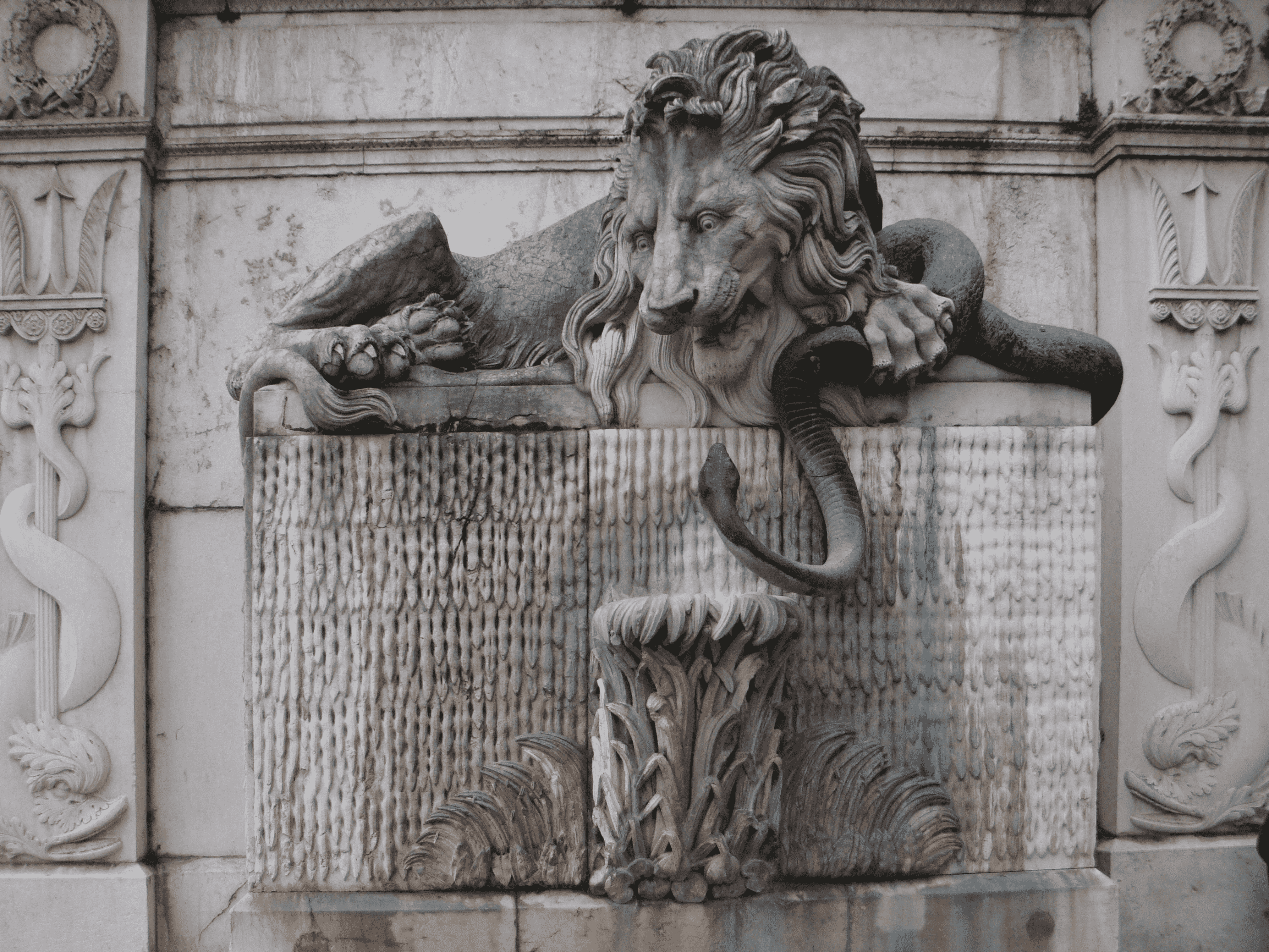 Service Image