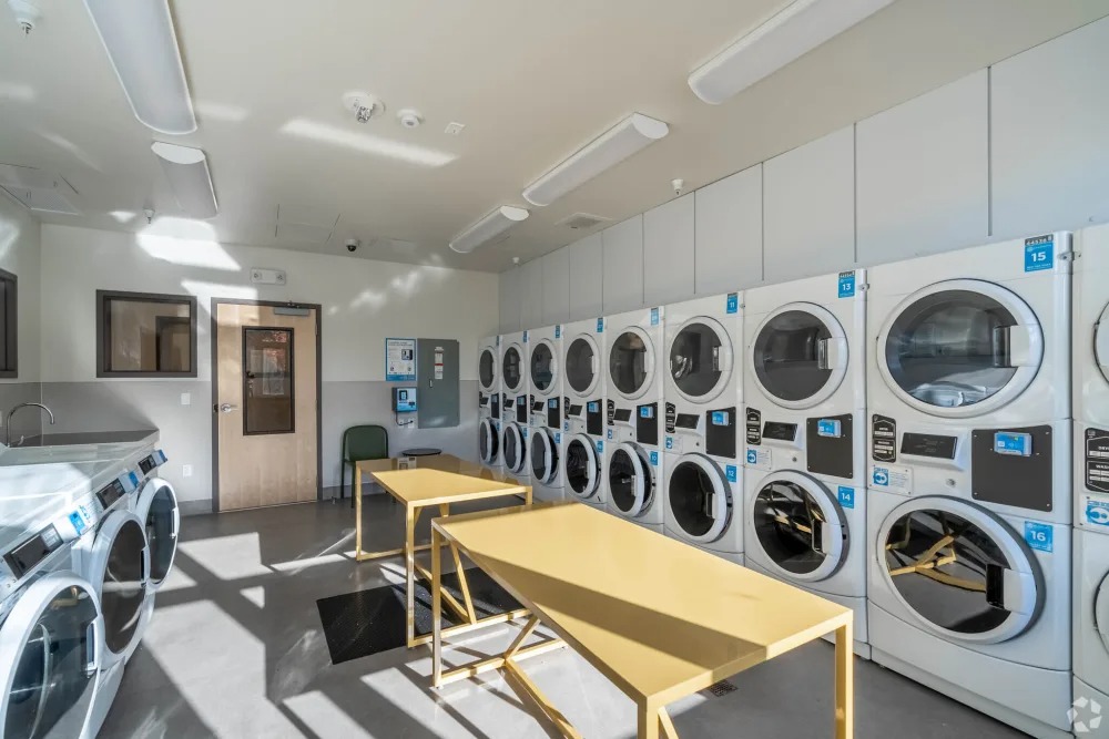 Washer and dryer