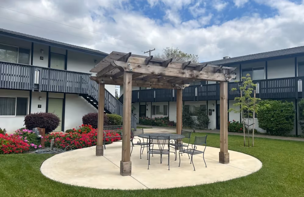 Pergola area 