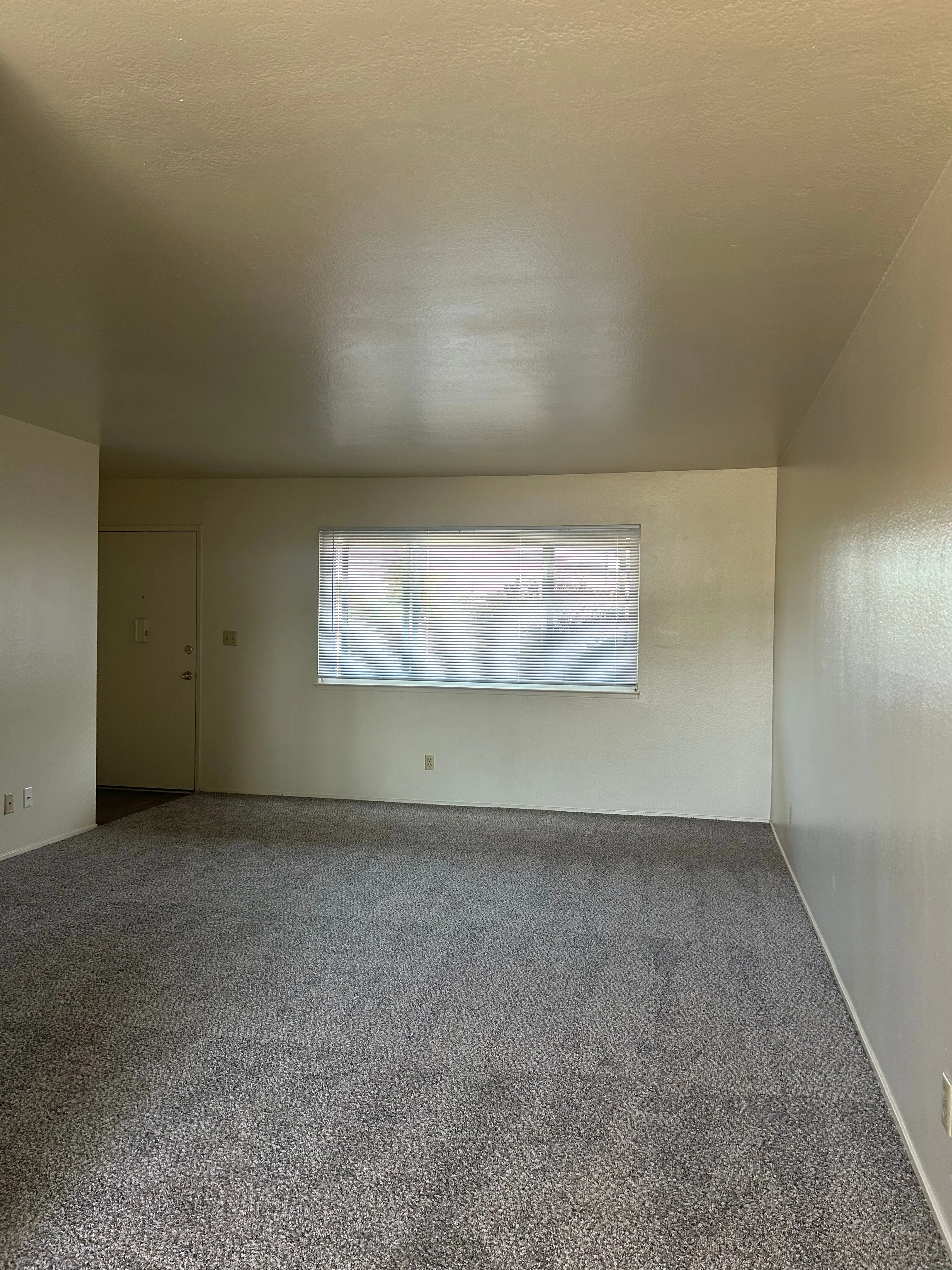 Living room with carpet