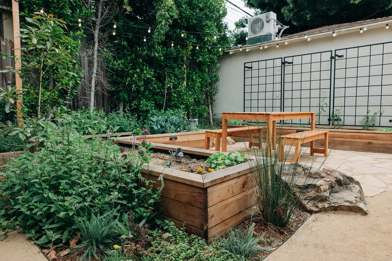 Backyard with wooden raised garden beds, green plants, string lights, and a wooden picnic table.