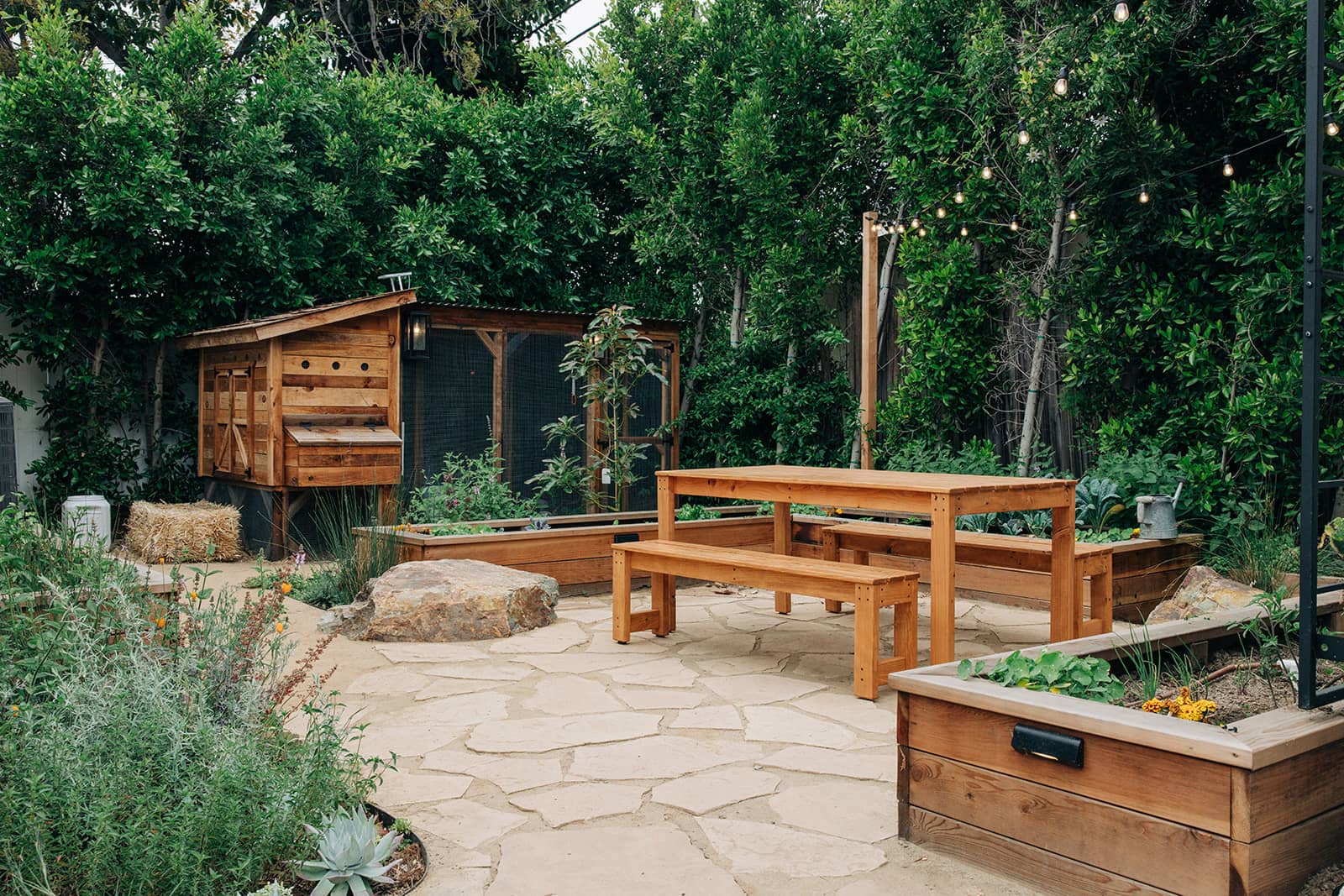 Backyard garden with wooden picnic table, raised planter boxes, and a small wooden shed.