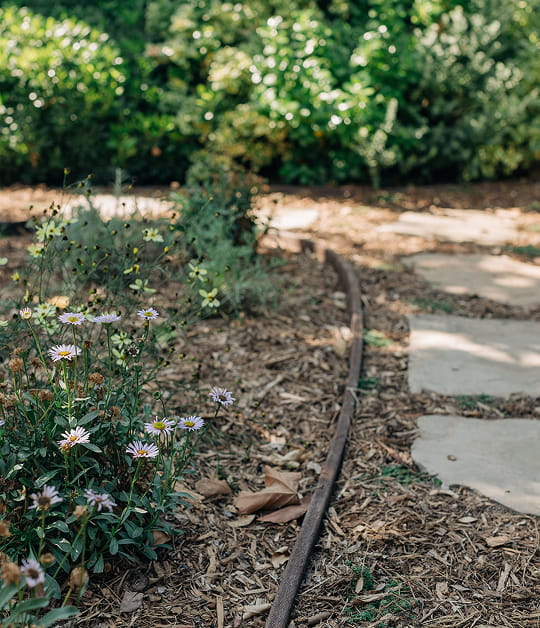 Curved garden path lined with stone slabs and wildflowers on a mulch bed beside green bushes.