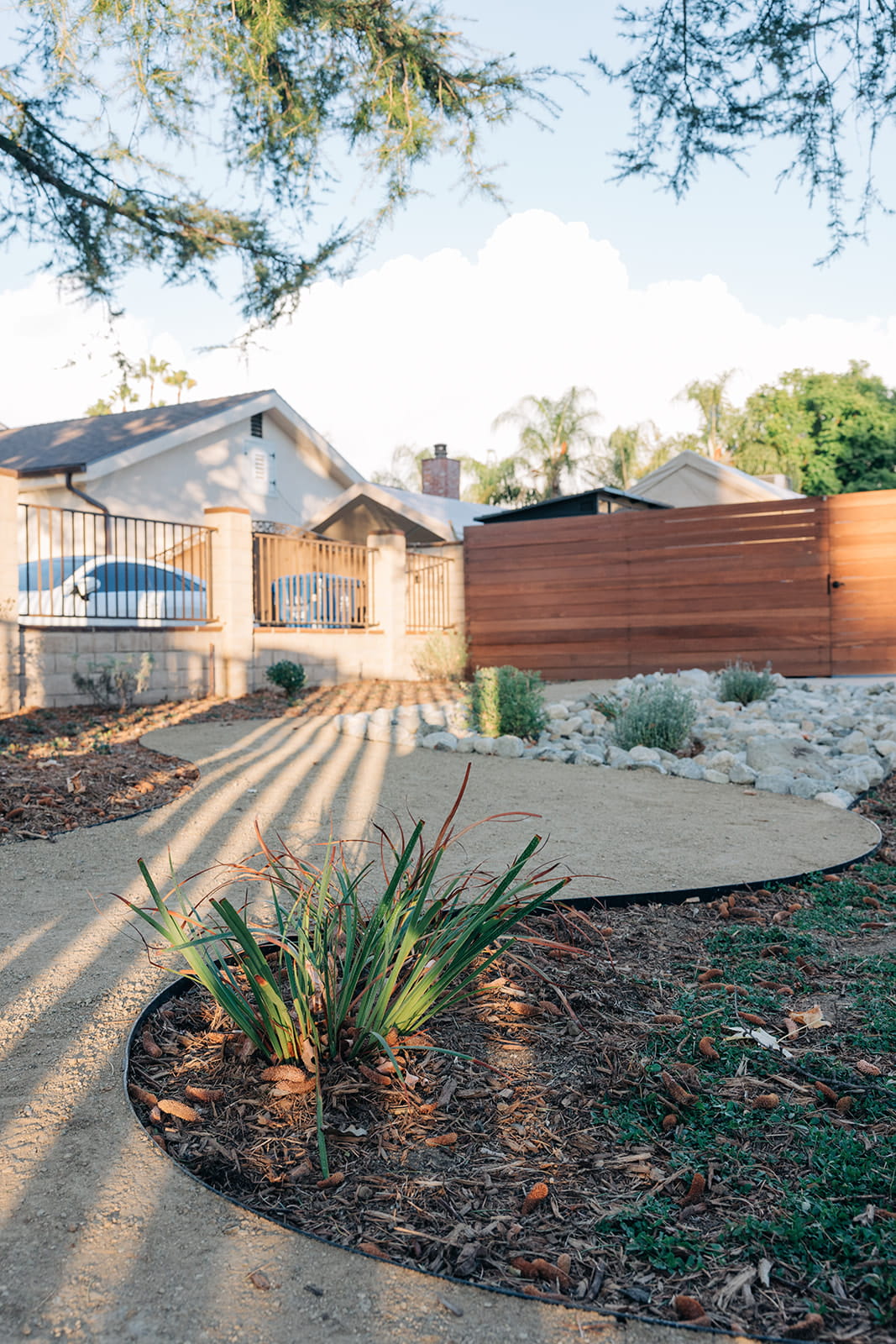 Curved garden path with plants and rocks, houses and wooden fence in background during daylight.