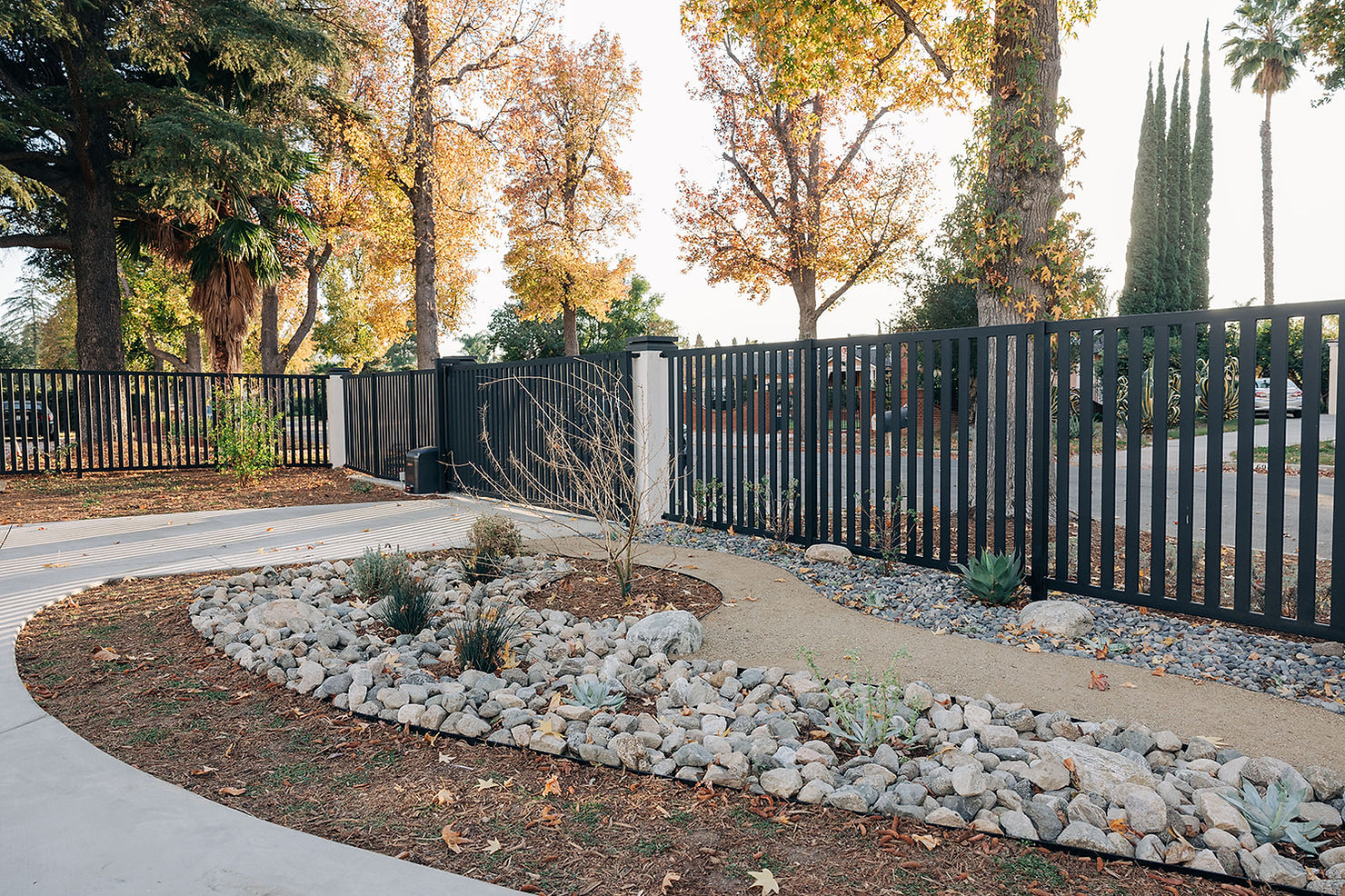 Pathway with rocks and succulents leads to a black metal fence. Autumn trees with golden leaves in the background, sunny setting.
