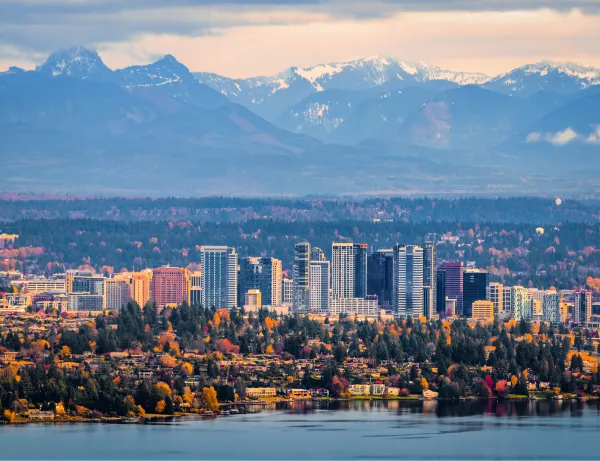 a view of a city with mountains in the background