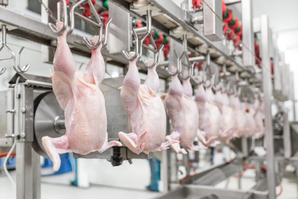 How to Detect Foreign Objects and Defects in Poultry Processing at Line Speed