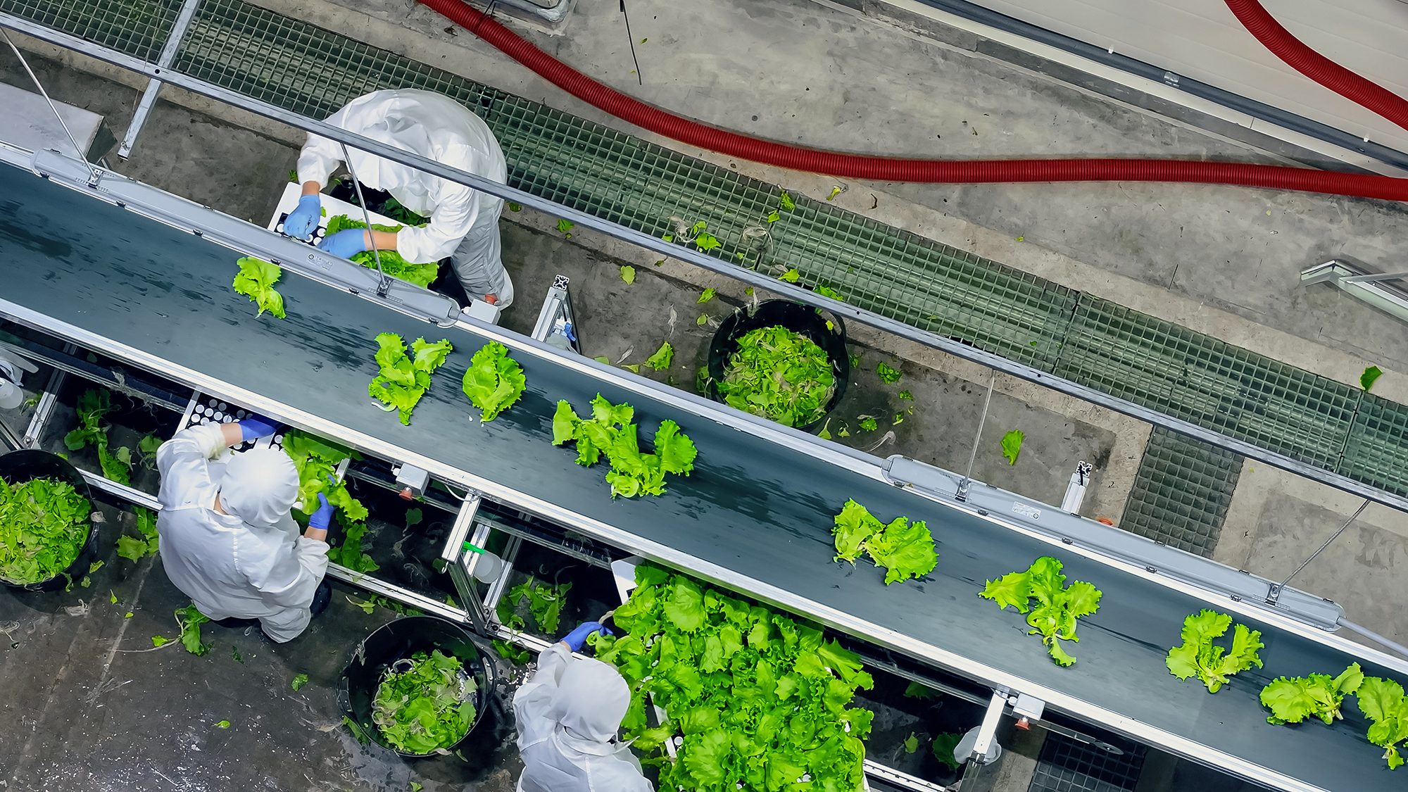 AI in Food Industry Operations: Transforming Farming, Production, and Retail