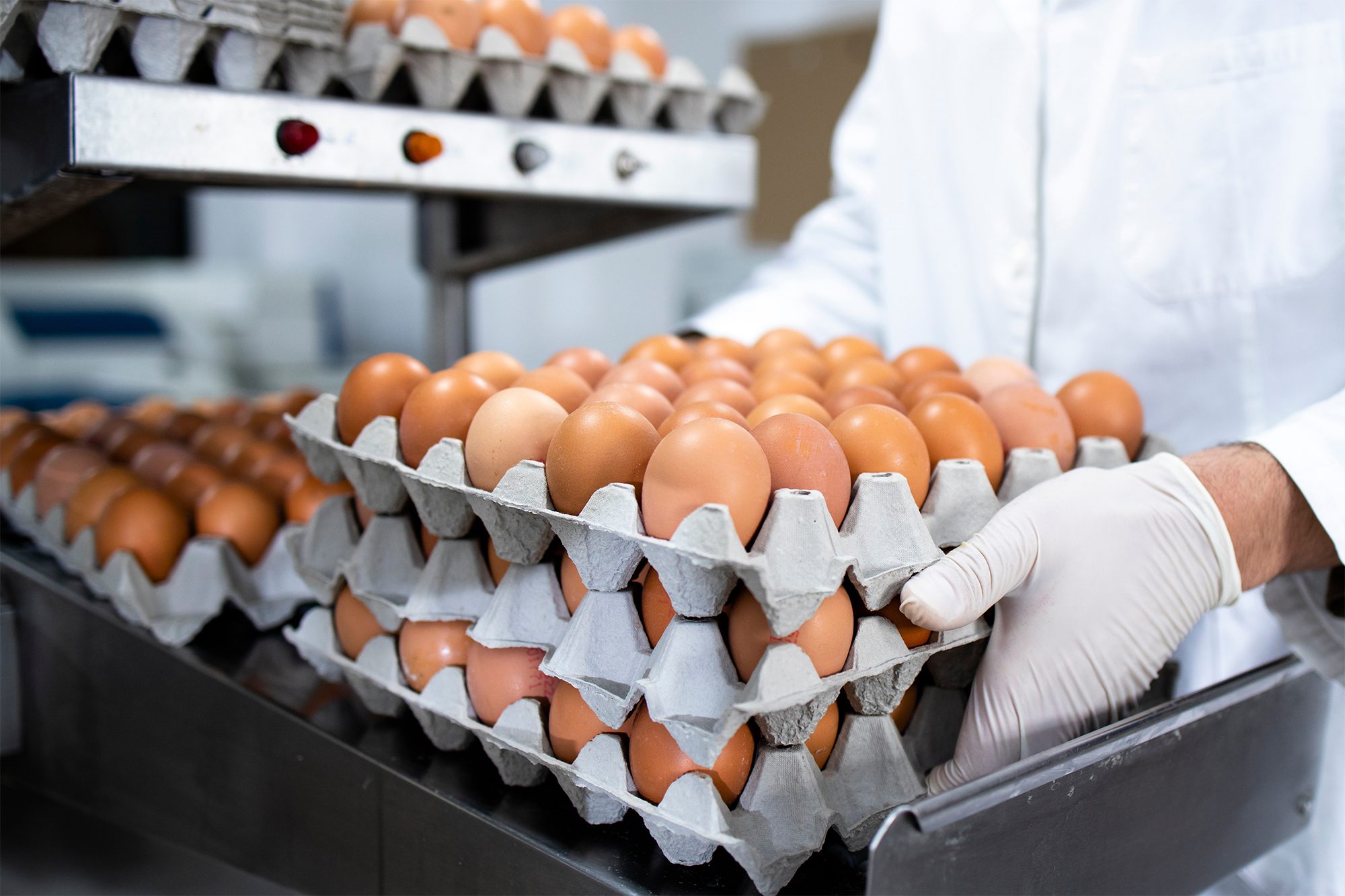 Why Supply Chain Visibility Matters in Today's Food Production