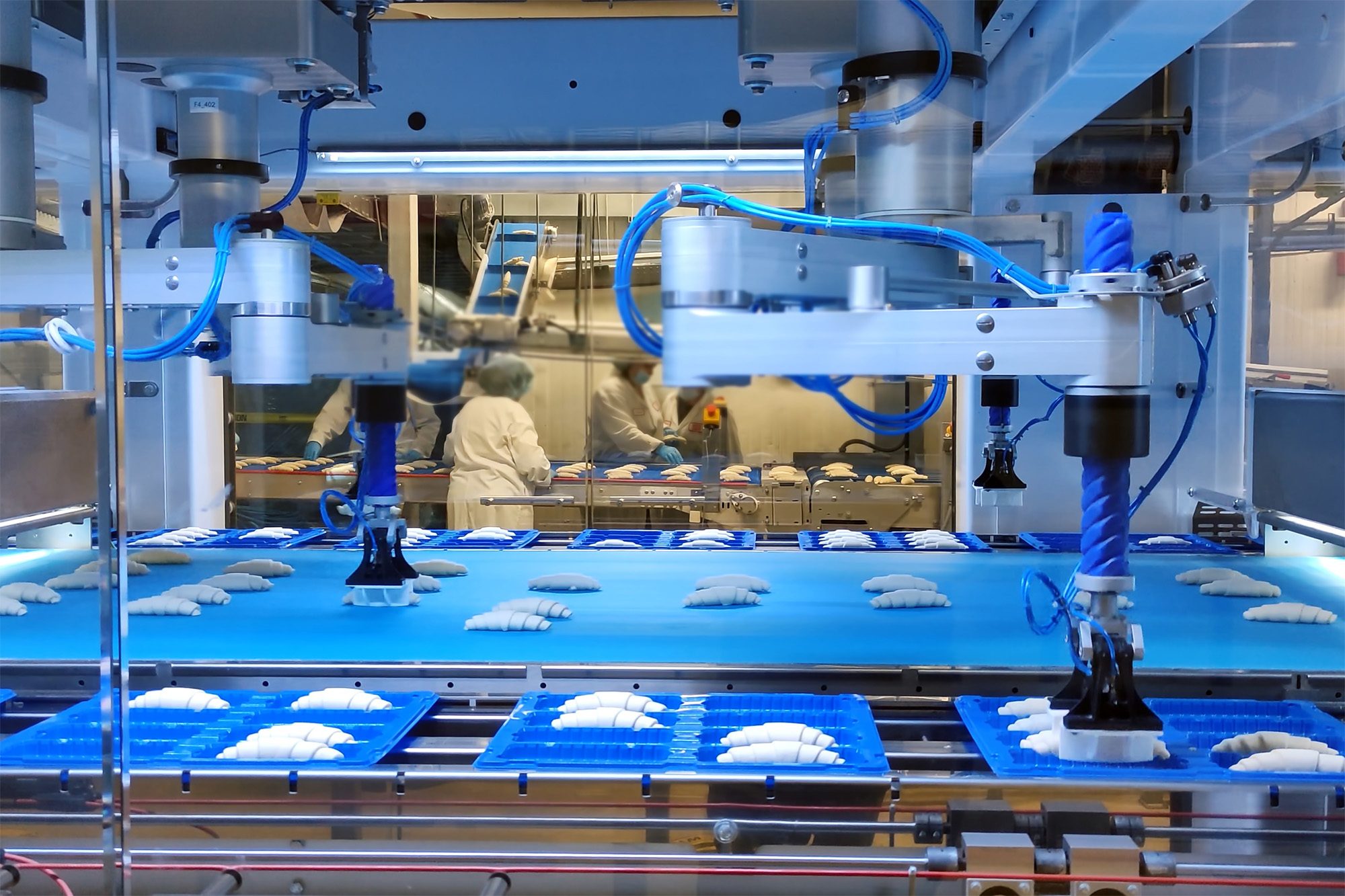How Food Processors Can Increase Throughput and Maximize Efficiency