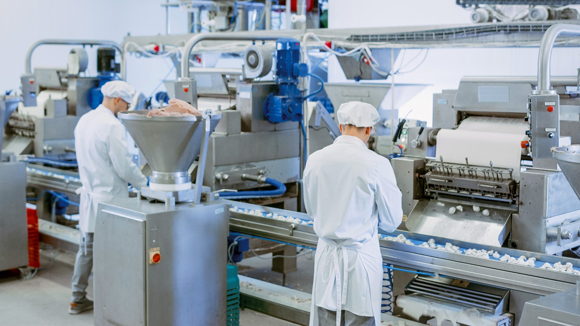 Critical Human Errors in the Food Production Industry