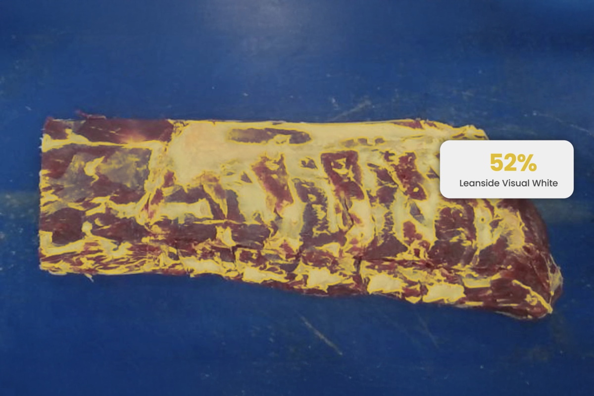 Production Managers Boost Striploin Yield by $2 per Head
