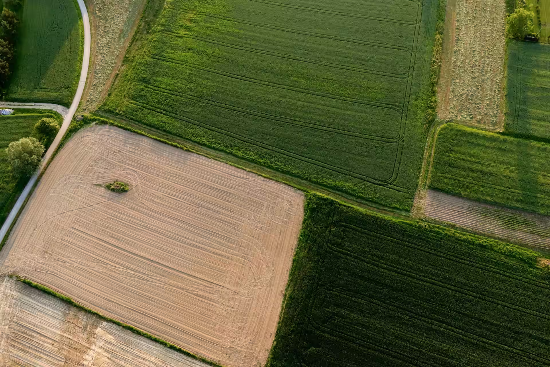 fields