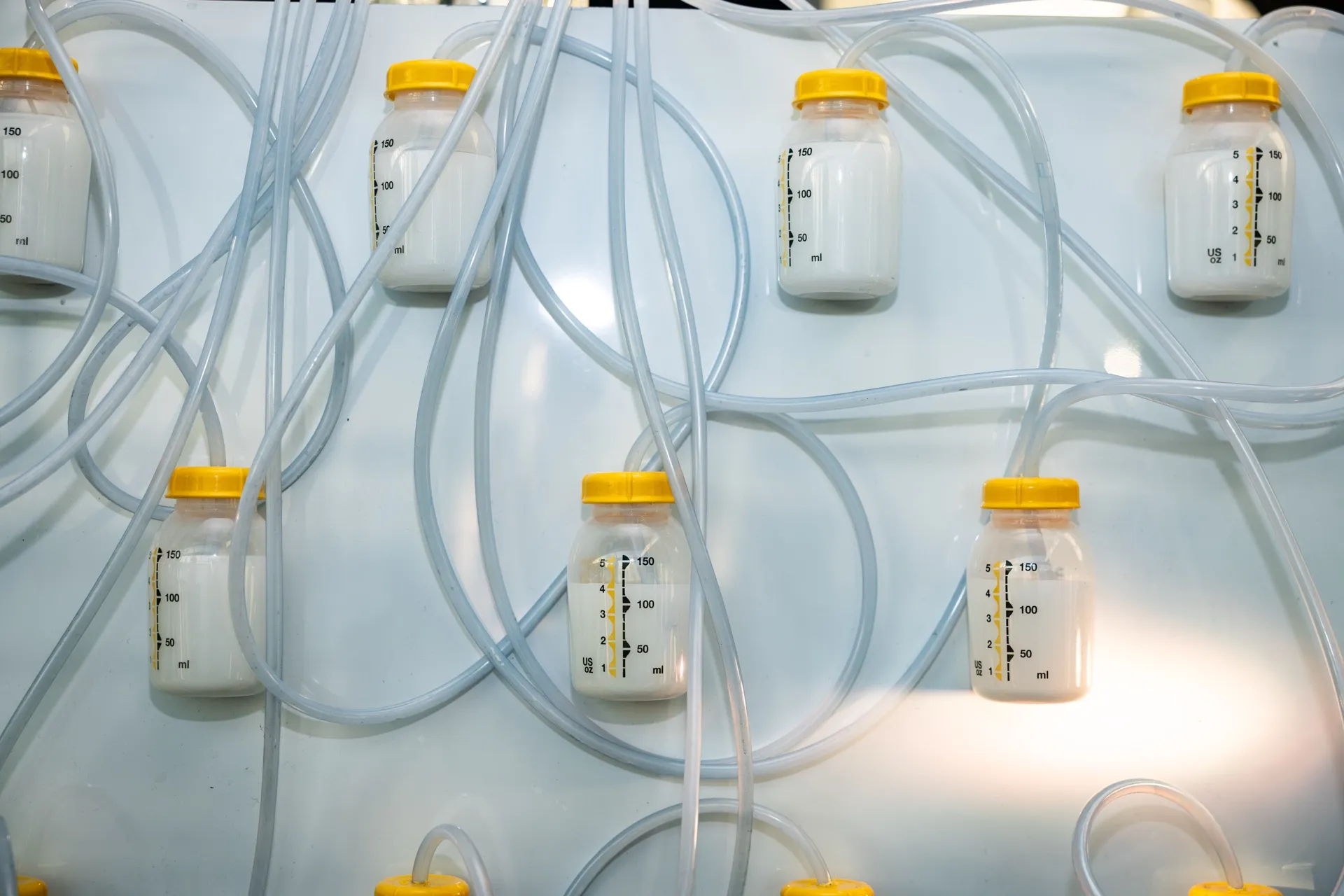 Rows of connected tubes and yellow-lidded containers in a The Boys themed installation.