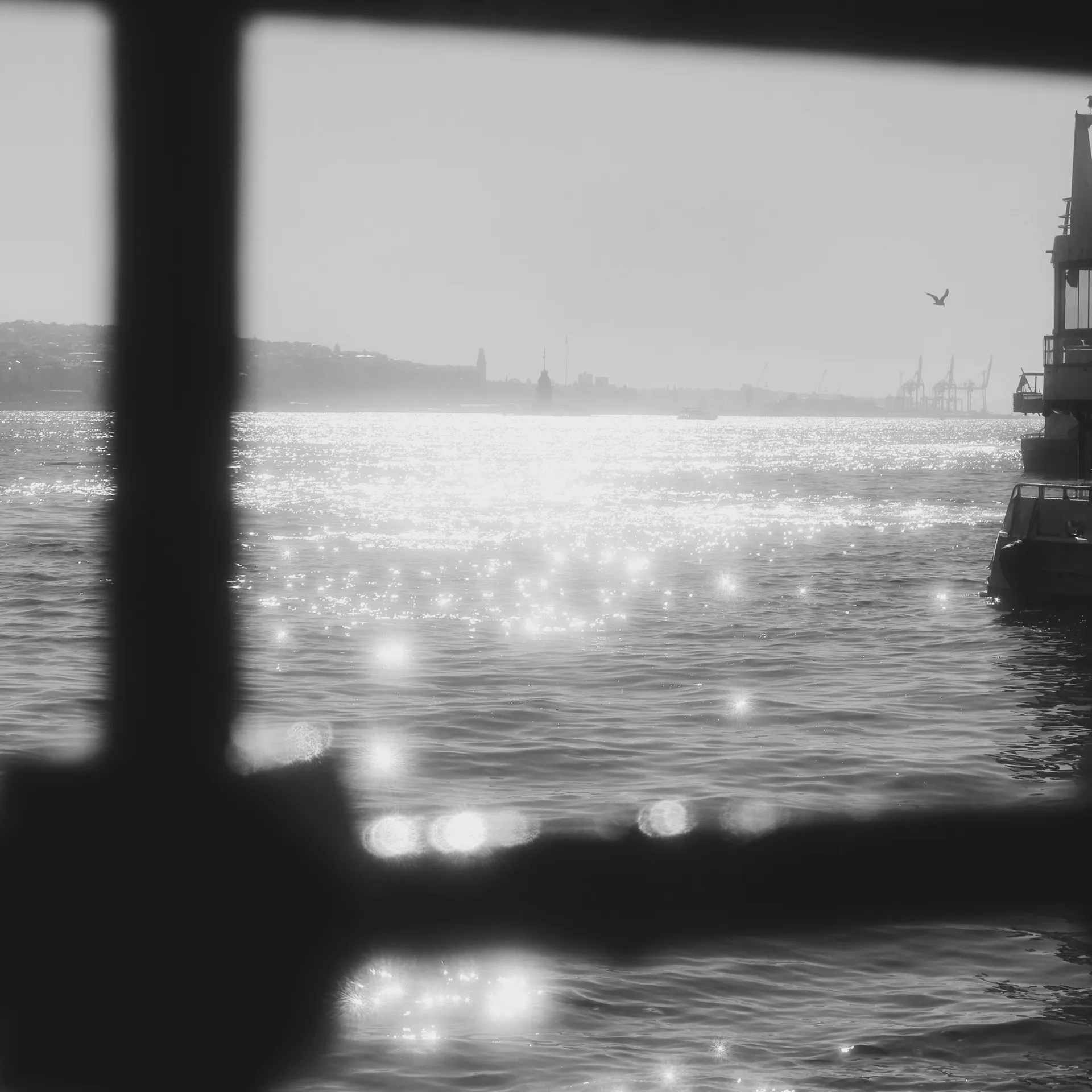 Sunlight sparkling on a harbor in black and white photo