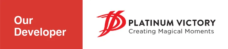 Platinum Victory, Developer of PV22