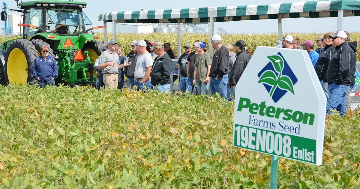 Streamlined Account Merging for Cleaner Seed Customer Data