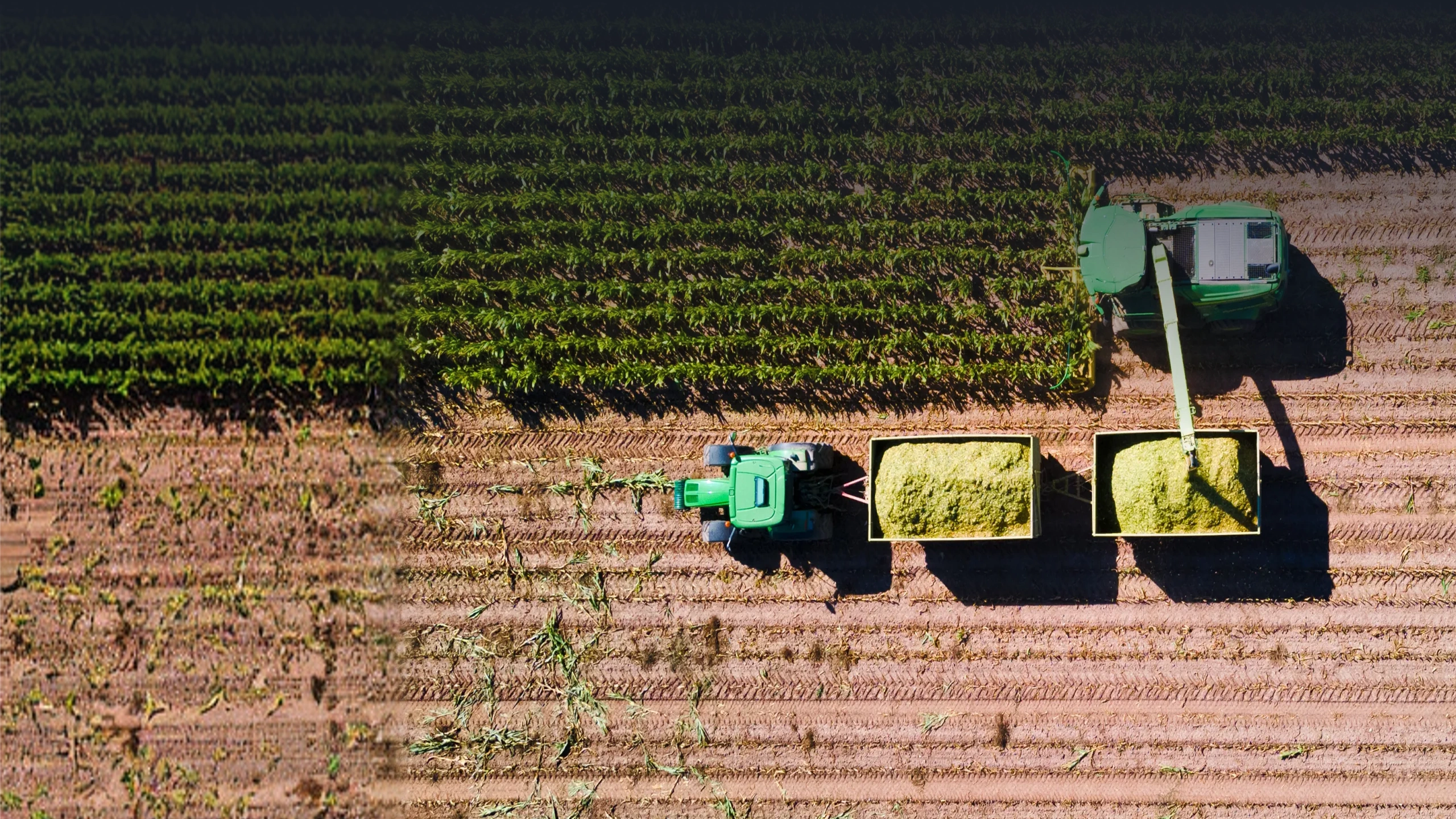 Agricultural Engineering