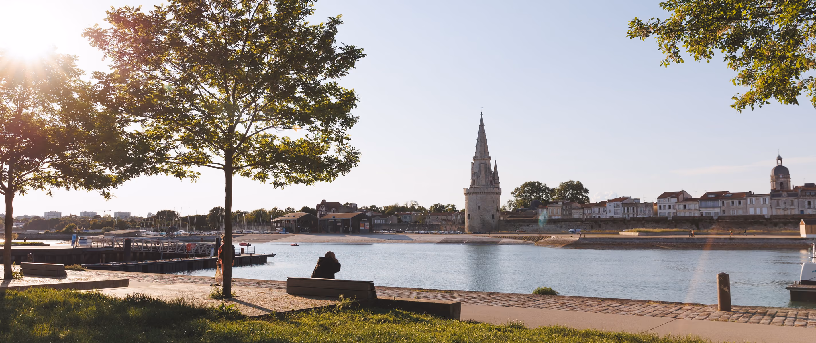Person sitting on bench by waterfront park with historic tower and buildings across the water.